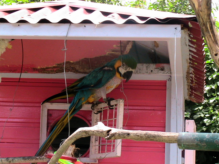 21a - Jardin Tropical 037.jpg